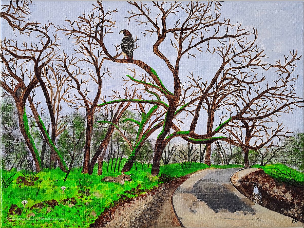 Wild Things in Plain Sight